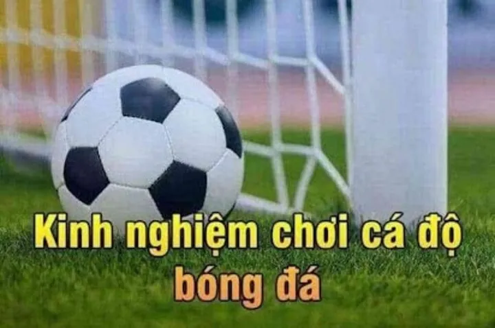 Chia sẻ Cách đánh kèo bóng theo chuyên gia 