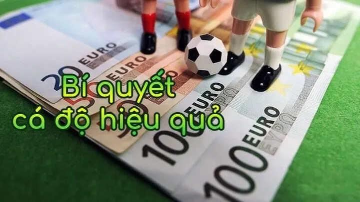 Mách bạn Kinh nghiệm cá cược bóng đá không sợ thua lỗ