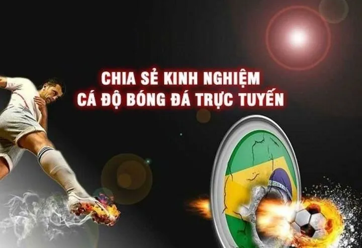 Vì sao nên học hỏi Kinh nghiệm cá cược bóng đá?